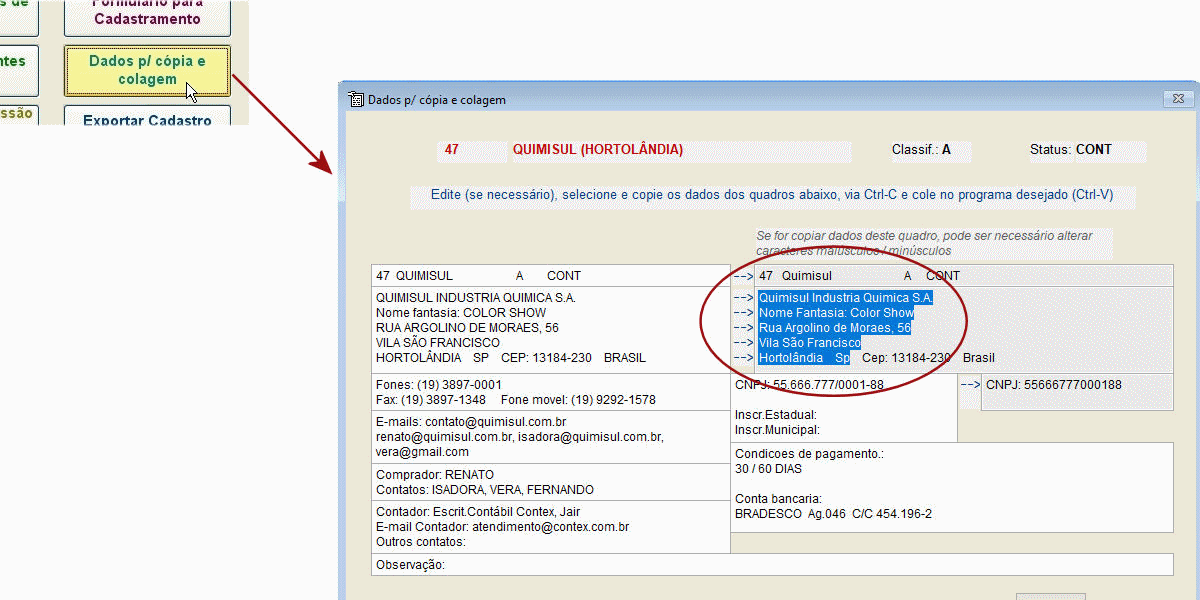 Tela mostrando dados para cópia e colagem em outros programas